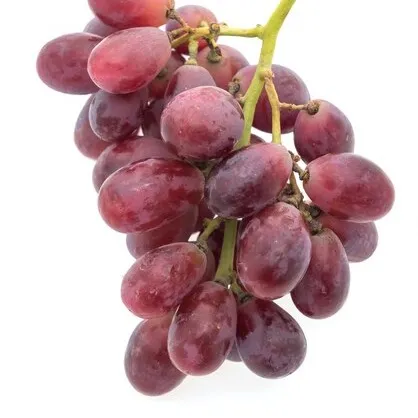 Grapes