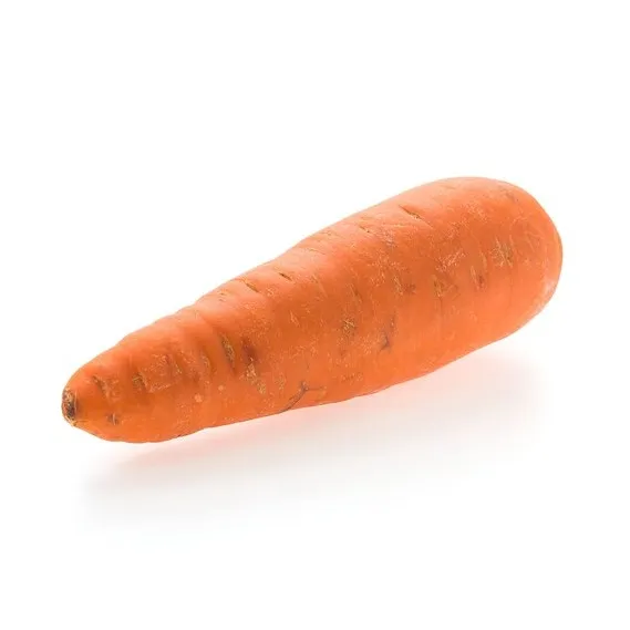 Carrot